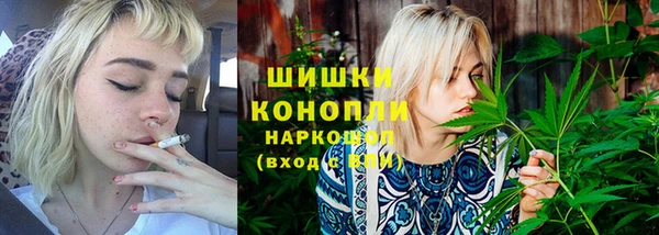 apvp Няндома